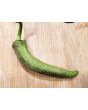 Pepper 'Vesena' Hot Pepper ‘Rezha Macedonian’ 