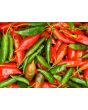 Hot Pepper ‘Aji Colorado’ 