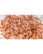 Globe Amaranth ‘Mandarin Orange’ Seeds (Certified Organic)