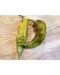 Hot Pepper ‘Bhut Jolokia (Ghost) Solid Gold' Seeds (Certified Organic)