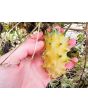 Jelly Melon (Kiwano) AKA African Horned Cucumber Seeds