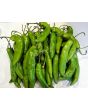 Hot Pepper ‘Aji Amarillo’ Seeds (Certified Organic)