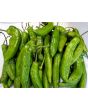 Hot Pepper ‘Aji Amarillo’ Seeds (Certified Organic)