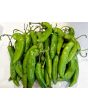 Hot Pepper ‘Aji Amarillo’ Seeds (Certified Organic)