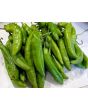 Hot Pepper ‘Aji Amarillo’ Seeds (Certified Organic)
