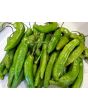 Hot Pepper ‘Aji Amarillo’ Seeds (Certified Organic)