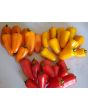 Sweet Pepper 'Lunchbox Red’ Seeds (Certified Organic)