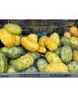 Jelly Melon (Kiwano) AKA African Horned Cucumber Seeds