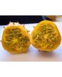 Jelly Melon (Kiwano) AKA African Horned Cucumber Seeds