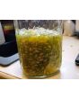 Jelly Melon (Kiwano) AKA African Horned Cucumber Seeds