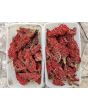Staghorn Sumac Seeds (Certified Organic)