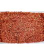 Staghorn Sumac Seeds (Certified Organic)