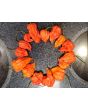 Hot Pepper ‘Zing’ Seeds (Certified Organic)