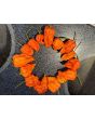 Hot Pepper ‘Zing’ Seeds (Certified Organic)
