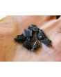 Caigua / Slipper Gourd Seeds (Certified Organic) 