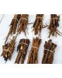 Burdock Seeds (Certified Organic)