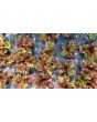 Lettuce 'New Red Fire' Seeds (Certified Organic)