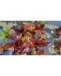 Lettuce 'Red Romaine' Seeds (Certified Organic)
