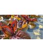 Lettuce 'Red Romaine' Seeds (Certified Organic)