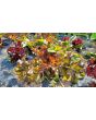 Lettuce 'Valentine Mix' Seeds (Certified Organic)