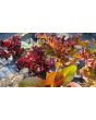 Lettuce 'Valentine Mix' Seeds (Certified Organic)