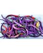 Hot Pepper ‘Buena Mulata' Seeds (Certified Organic)