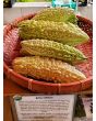 White Bitter Melon Seeds (Certified Organic)