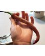 Pepper 'Vesena' Hot Pepper ‘Rezha Macedonian’ 