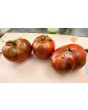 Tomato 'Everett's Rusty' Seeds (Certified Organic)