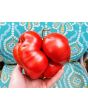 Tomato 'Vrbnička Rajčica' Seeds (Certified Organic)