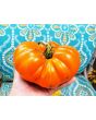 Tomato 'Amana Orange' Seeds (Certified Organic)