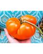 Tomato 'Amana Orange' Seeds (Certified Organic)