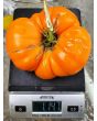Tomato 'Amana Orange' Seeds (Certified Organic)