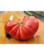 Tomato 'Ponderosa Pink' 