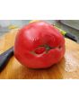 Tomato 'Ponderosa Pink' 