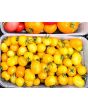 Tomato 'Ester Hess Yellow Cherry'