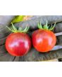 Tomato 'Black Strawberry' Seeds (Certified Organic)
