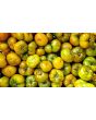 Tomato 'Moldovan Green' 