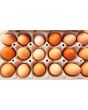 Farm Fresh Eggs Howell, Michigan