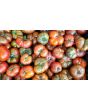 Tomato 'Large Barred Boar' 