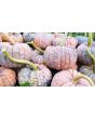 Pumpkin 'Black Futsu' Seeds (Certified Organic)