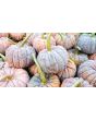 Pumpkin 'Black Futsu' Seeds (Certified Organic)