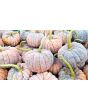 Pumpkin 'Black Futsu' Seeds (Certified Organic)
