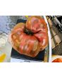 Tomato 'Rebel Starfighter Prime' Seeds (Certified Organic)