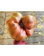 Tomato 'Rebel Starfighter Prime' Seeds (Certified Organic)