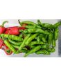 Mild Pepper 'Italian Pepperoncini' Seeds (Certified Organic)