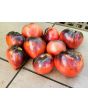 Tomato 'Sgt. Pepper's'