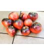 Tomato 'Sgt. Pepper's'
