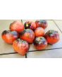 Tomato 'Sgt. Pepper's'