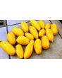 Tomato 'Golden Roma' Seeds (Certified Organic)